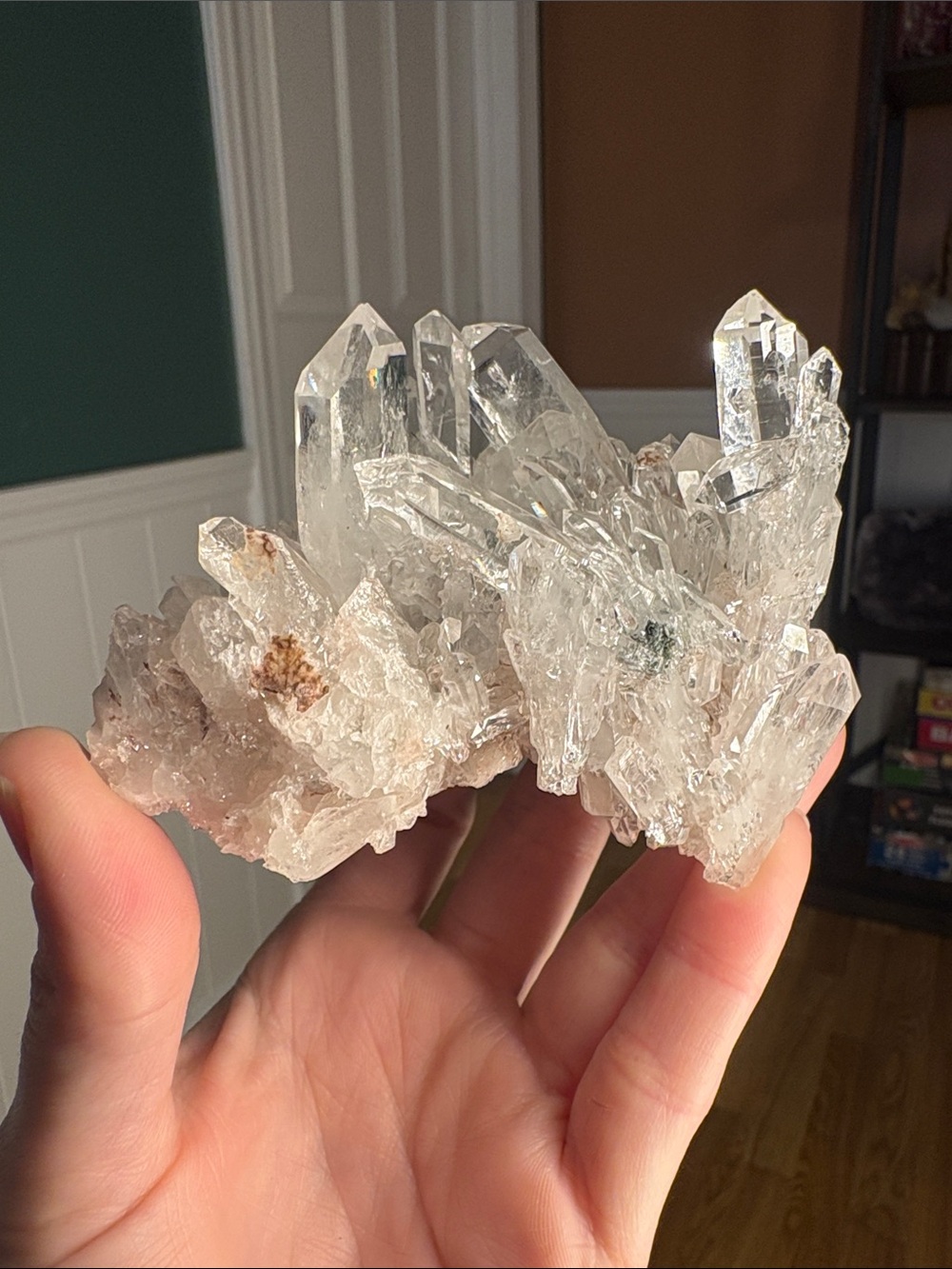 Pink Lemurian